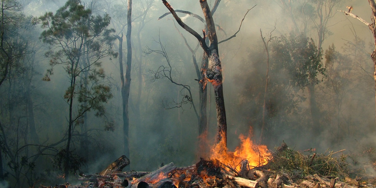 Incendies de forêt dans les provinces de Cuneo et de Turin 2017